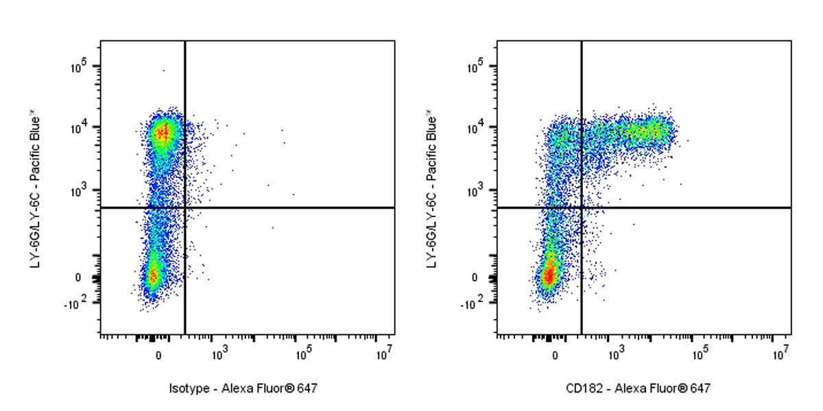 Rat Anti-Mouse CD182 Antibody (S-R718)