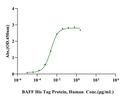 BAFF/TNFSF13B/CD257 Trimer His Tag Protein, Human