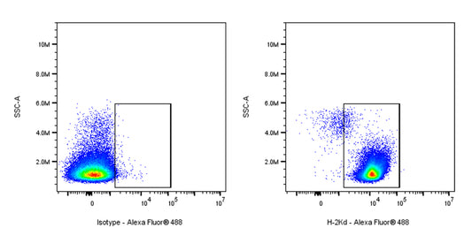 Alexa Fluor® 488 Mouse Anti-Mouse H-2Kd Antibody (SF1-1.1)