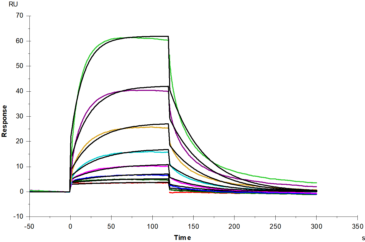 PD-1 His Tag Protein, Mouse