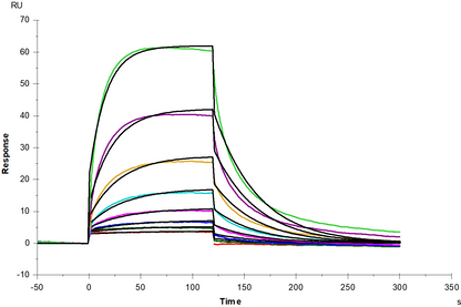 PD-1 His Tag Protein, Mouse