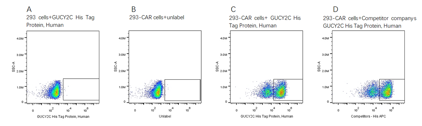 GUCY2C His Tag Protein, Human