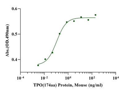 TPO (174aa) Protein, Mouse