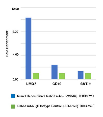 Runx1 Recombinant Rabbit mAb (S-959-64)