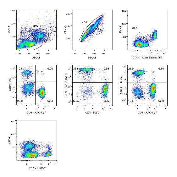 Human T + B + NK + Monocyte Panel Kit (CD3/CD4/CD8/CD19/CD16/CD14)