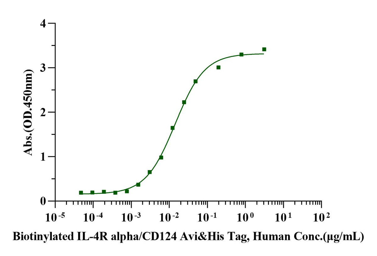 Biotinylated IL-4R alpha/CD124 Avi&His Tag Protein, Human