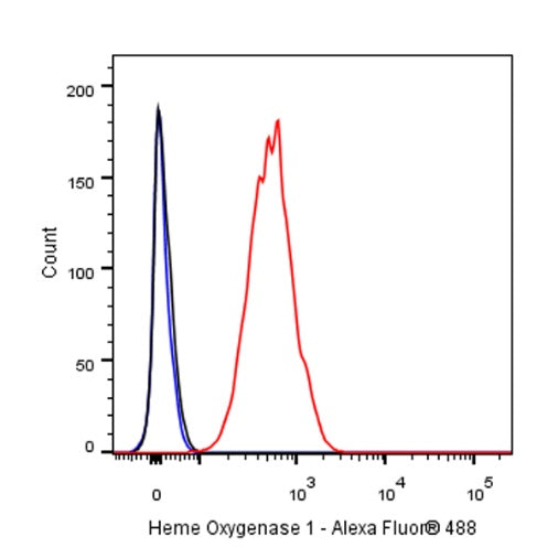 Heme Oxygenase 1 Recombinant Rabbit mAb (S-R334)