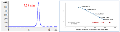 PAK6 His Tag Protein, Human