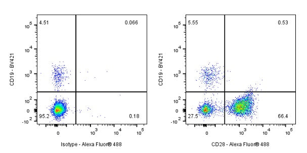 Mouse Anti-Human CD28 Antibody (S-R495-2)