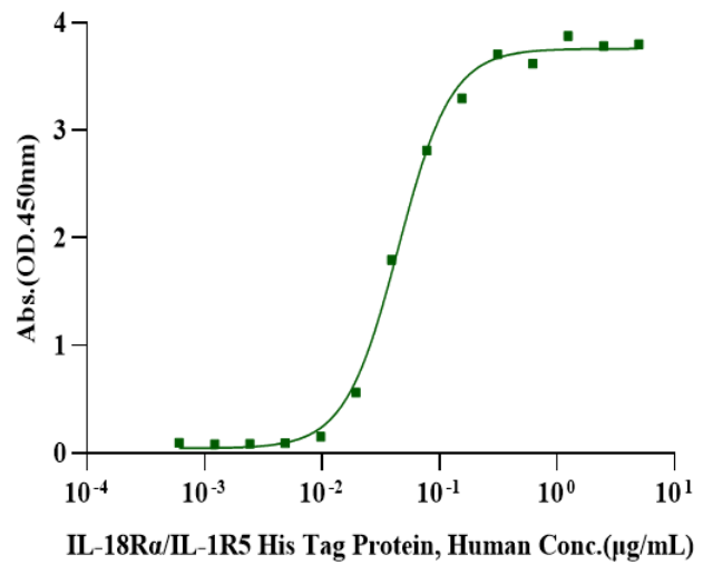 IL-18 Protein, Human