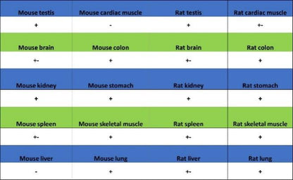 PSME4 Recombinant Rabbit mAb (S-3132-44)