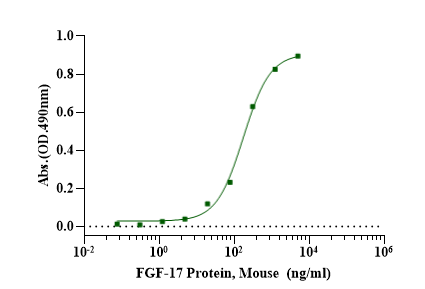 FGF-17 Protein, Mouse