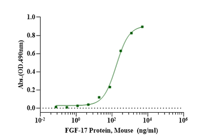 FGF-17 Protein, Mouse