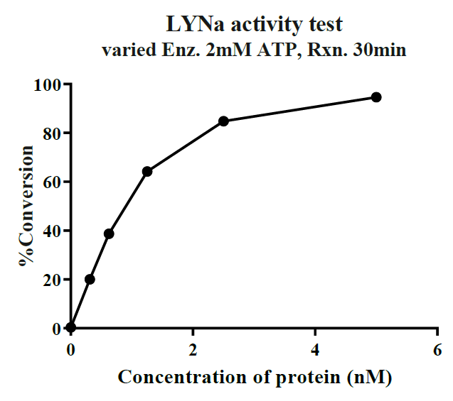 LYNa GST Tag Protein, Human