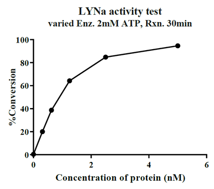 LYNa GST Tag Protein, Human