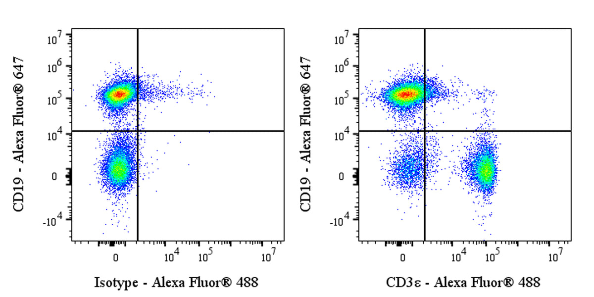 Alexa Fluor® 488 Rat Anti-Mouse CD3ε Antibody (KT3)