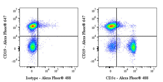 Alexa Fluor® 488 Rat Anti-Mouse CD3ε Antibody (KT3)