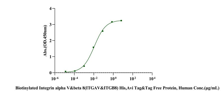 Biotinylated Integrin alpha V&beta 8(ITGAV&ITGB8) His,Avi Tag&Tag Free Protein, Human