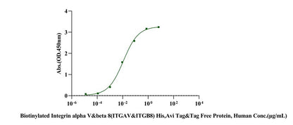Biotinylated Integrin alpha V&beta 8(ITGAV&ITGB8) His,Avi Tag&Tag Free Protein, Human