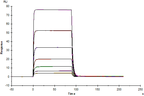 PD-1 His Tag Protein, Mouse
