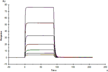 PD-1 His Tag Protein, Mouse
