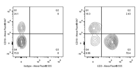 Alexa Fluor® 555 Rat Anti-Mouse CD3 Antibody (17A2)
