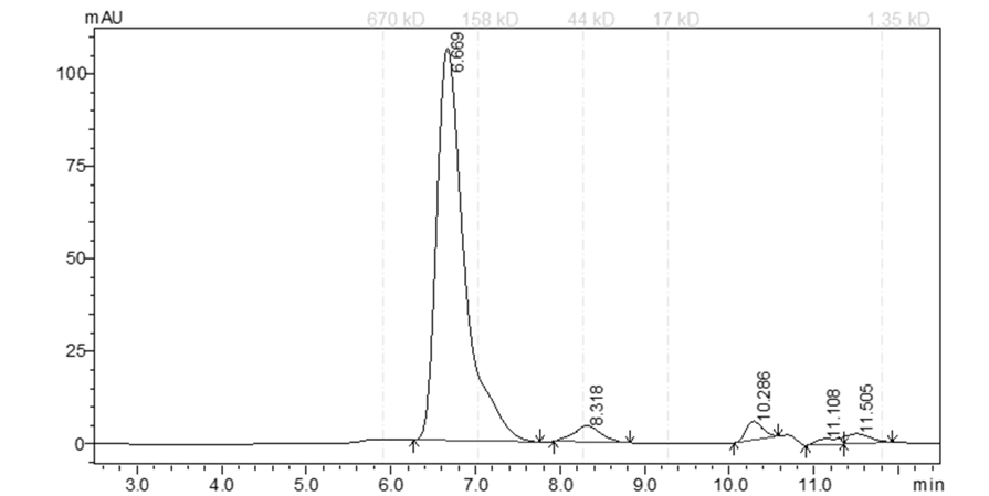 EPHB2 Protein
