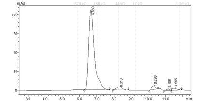 EPHB2 Protein