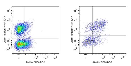 Biotin Rat Anti-Mouse CD86/B7-2 Antibody (GL-1)