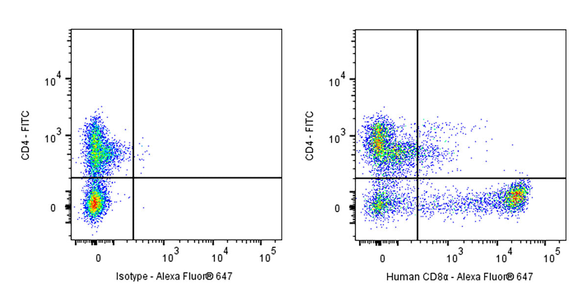 Mouse Anti-Human CD8α Antibody (OKT-8)