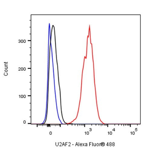 U2AF2 Recombinant Rabbit mAb (S-1324-1)