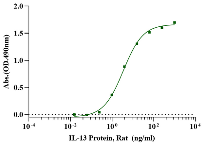 IL-13 Protein, Rat