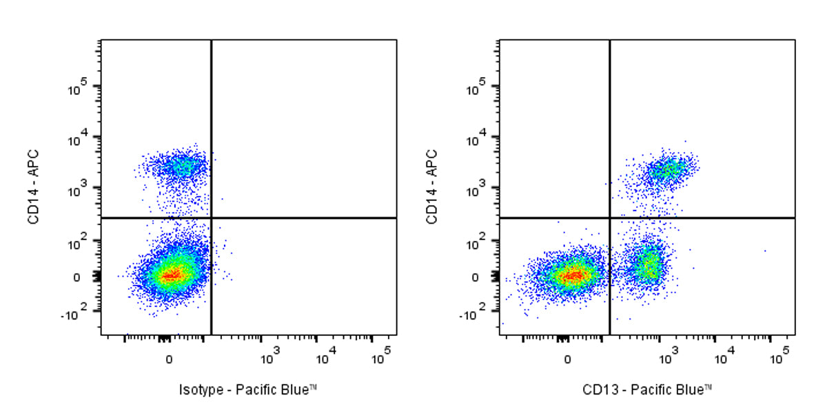 Pacific Blue Mouse Anti-Human CD13 Antibody (S-689-37)