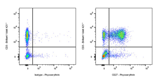 PE Armenian hamster Anti-Mouse/Rat/Human CD27 Antibody (S-R620)
