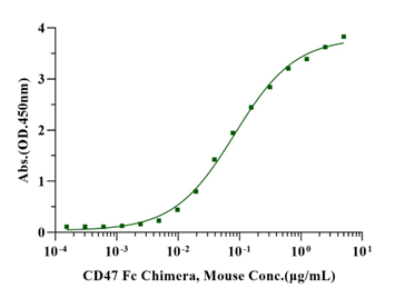 CD47 Fc Chimera Protein, Mouse