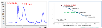 JAK3 GST Tag Protein, Human