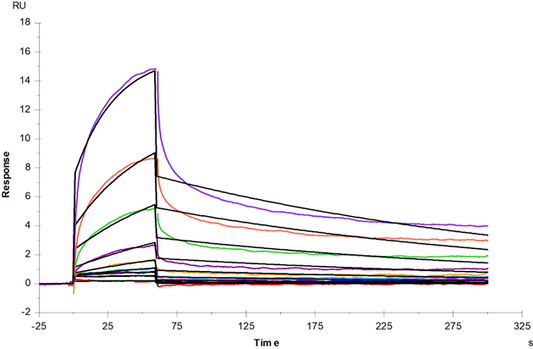 FGL2 His Tag Protein, Cynomolgus