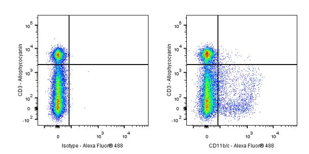 Alexa Fluor® 488 Mouse Anti-Rat CD11b/c Antibody (OX-42)