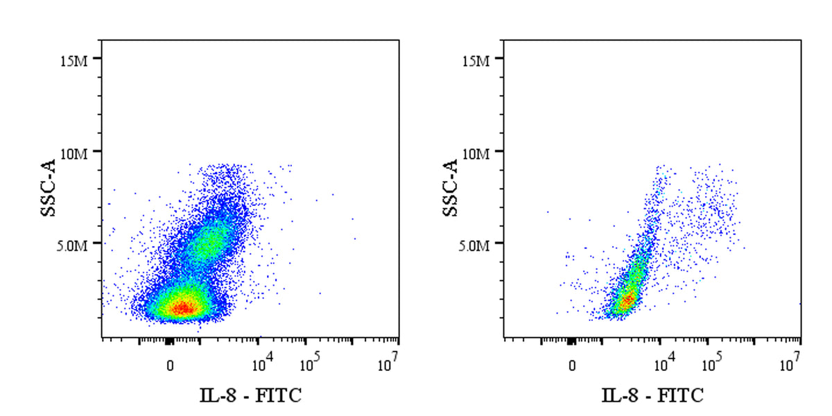 FITC Mouse Anti-Human IL-8 Antibody (S-2875)
