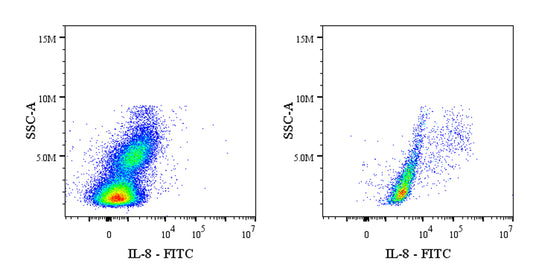 FITC Mouse Anti-Human IL-8 Antibody (S-2875)