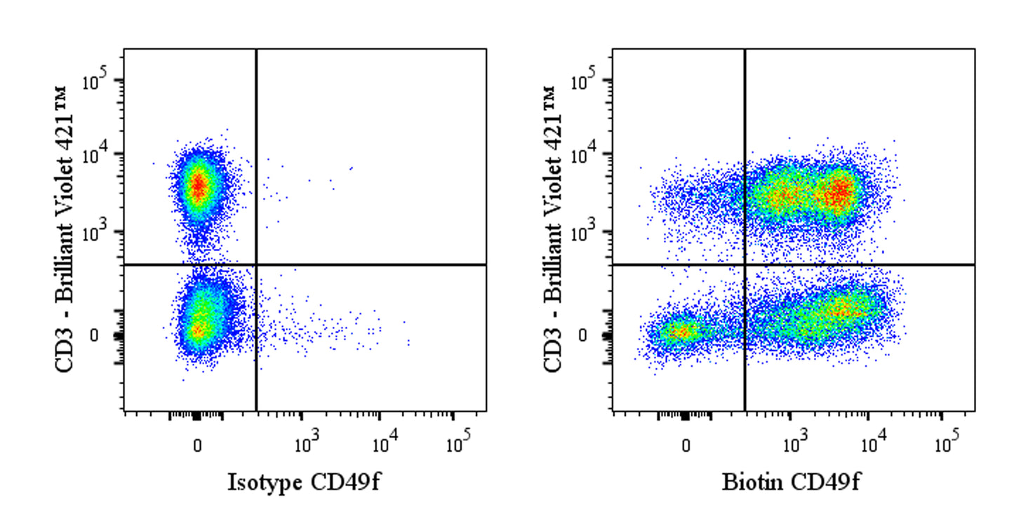 Biotin Rat Anti-Mouse/Human CD49f Antibody (GoH3)