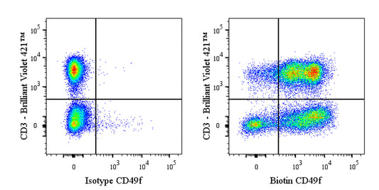Biotin Rat Anti-Mouse/Human CD49f Antibody (GoH3)