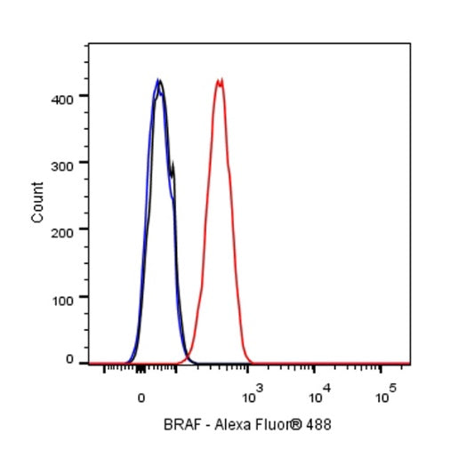 BRAF Recombinant Rabbit mAb (S-1328-60)