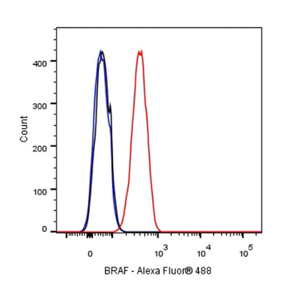 BRAF Recombinant Rabbit mAb (S-1328-60)