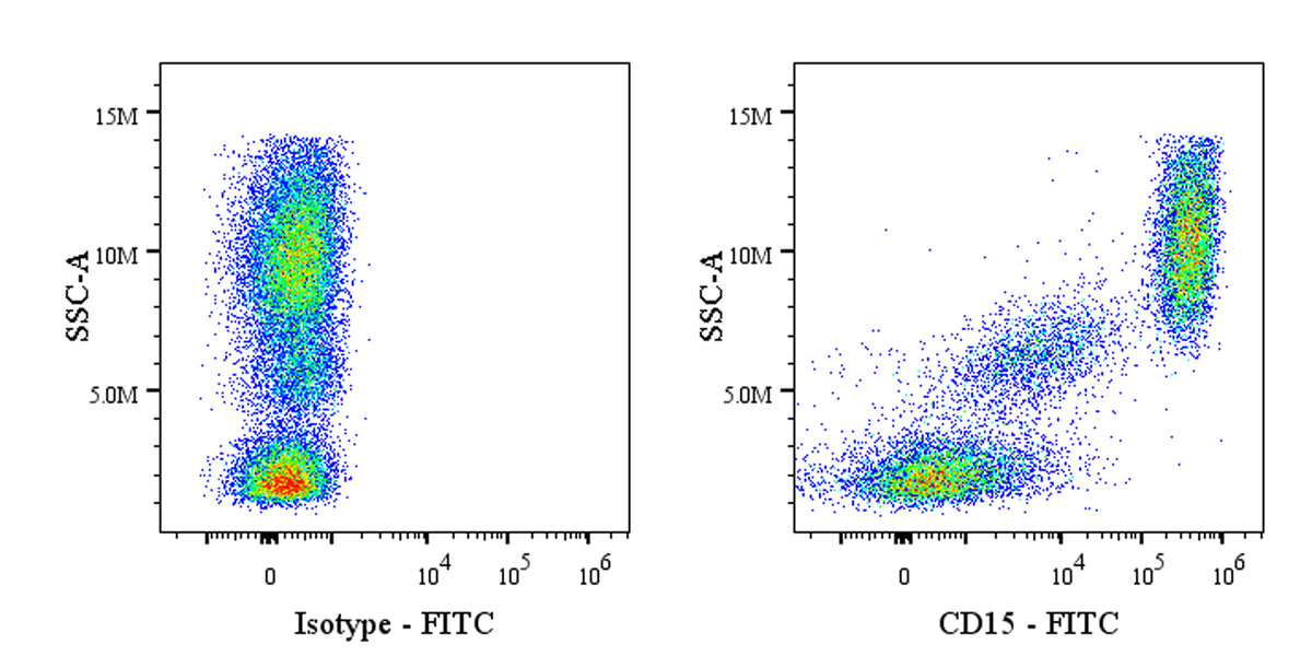FITC Mouse Anti-Mouse/Human CD15 Antibody (MC-480)