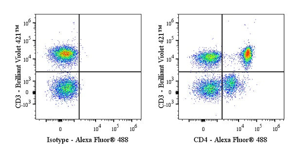 Alexa Fluor® 488 Rabbit Anti-Human CD4 Antibody (13B8.2)