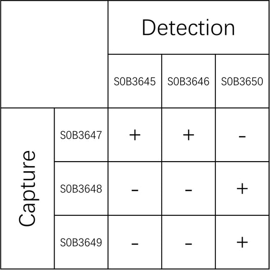 Transthyretin/Prealbumin Recombinant Rabbit mAb (SDT-2629-109)