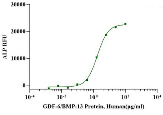 GDF-6/BMP-13 Protein, Human