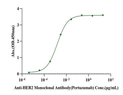 Biotinylated Her2 His&Avi Tag Protein, Human