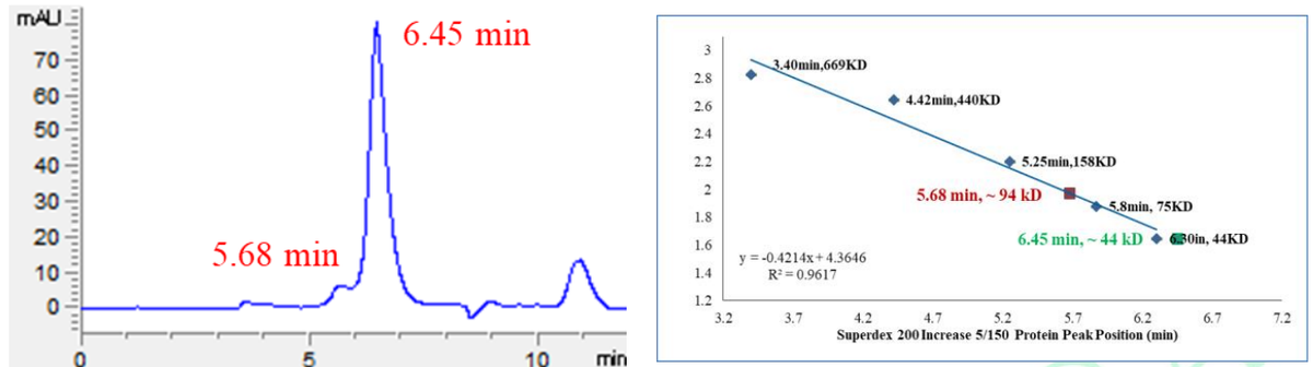 HIPK1 Protein, Human